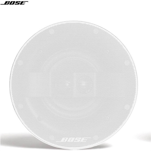 Loa Bose Virtually Invisible 591 4